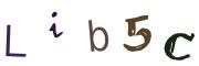 圖片的 CAPTCHA