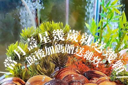 伍鍋貳牛溫體鍋物(台南)【2024年】當月壽星贈蛤蜊（幾歲送幾顆）！
