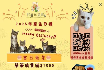 野薑花與貓【2025年】壽星限定，壽星當天單筆消費滿 $1500，即可獲得我們的人氣小雞翅乙份！